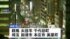 TBS NEWS DIG