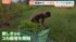 TBS NEWS DIG