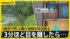 TBS NEWS DIG