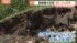 TBS NEWS DIG