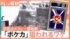 TBS NEWS DIG