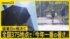TBS NEWS DIG