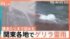 TBS NEWS DIG