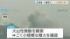 TBS NEWS DIG