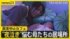 TBS NEWS DIG
