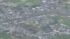 TBS NEWS DIG
