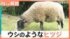 TBS NEWS DIG