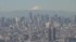 TBS NEWS DIG