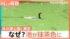 TBS NEWS DIG