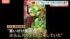 TBS NEWS DIG