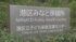 TBS NEWS DIG
