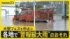 TBS NEWS DIG