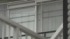 TBS NEWS DIG