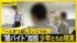 TBS NEWS DIG