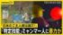TBS NEWS DIG