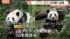 TBS NEWS DIG