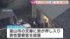 TBS NEWS DIG