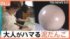 TBS NEWS DIG
