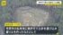 TBS NEWS DIG