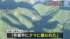 TBS NEWS DIG