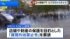 TBS NEWS DIG