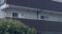 TBS NEWS DIG