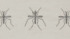 ��Debug�׸���YouTube������