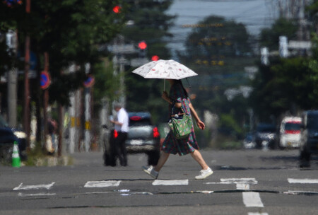 強い日差しの中、日傘を差して歩く人=24日午後、北海道帯広市