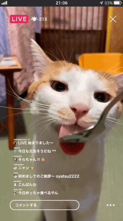 饤ۿǡήȤѼԤäĤ򿩤٤ݸǭʣ󶡡