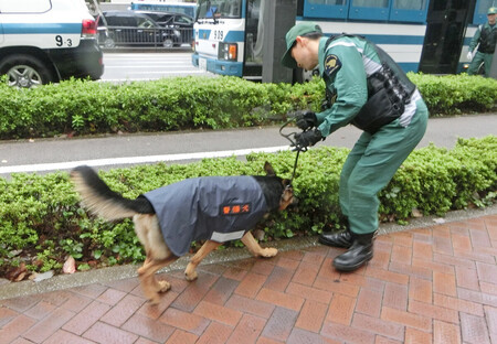 爆発物を探す警備犬=26日午前、東京都港区