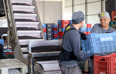 ݶϵʣʣɣãˤϤǲù륢ޥ󸶻ᣱ֥饸ȥᥢ