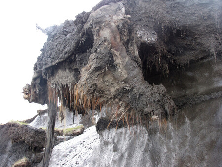 ���٥ꥢ�ʵ����ڤ��飲������ǯ��ȯ�����줿���ʥ��ޥ�⥹�λҤɤ�֥楫�ס����ȥå��ۥ����ʤɤβ��Ϥ�ͺ��Ƚ�������ʣǣ���������ǣ����������󶡡�