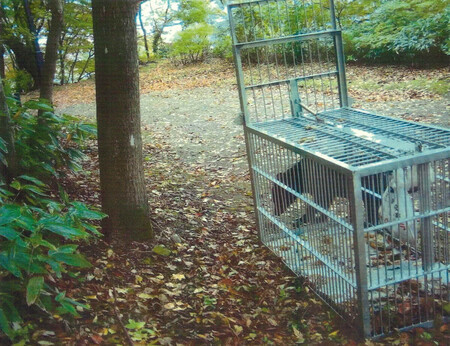 ½©ÅĻԤθø±à¤Ç¡¢È¢¤ï¤Ê¤ÎÁ°¤òÊ⤯¥¯¥Þ¡á£²Æü¡ÊƱ»ÔÄó¶¡¡Ë