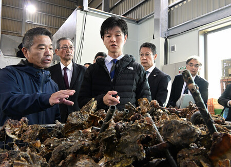 ܿǤۤȤɤǤ뻡ڷӿ建ʼ飲ܡˡᣱ縩칭