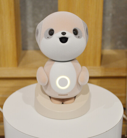 㡼פο͹ǽʣɡ˥ܥåȡ֥ݥȤסᣱԽë