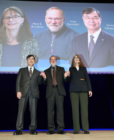 󥹥ǵǰֱ塢̿ǼޤΡ٥ءؾޤޤʺκʸǤեǥåॺǥΡᥢ꡼֥󥳥Ρ᣷ȥåۥ