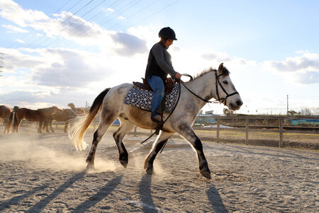 �����ϥɥ��󥳤Ǥξ��Ϥ�ڤ�������ᣲ������ǯ���������������𸶻�