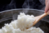 炊きたてのご飯＝資料