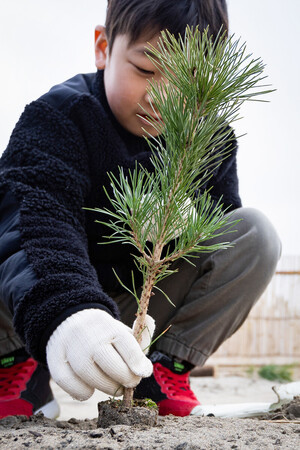 ��������̺Ҥ����Ȥǰ��Ԥγ����ݰ��ӤΤۤȤ�ɤ��ﳲ��������Ȥ���롣�ԤǤϡ��Ϥ줿�ݰ��Ӥ�������뤿�ᡢ�������ۤ���ǯ���š����ä�����Ƹ�ϡ��礭����äƤۤ����פȴꤤ�������ڤ򤫤֤����ᣲ����������ո�����