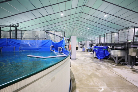 �ޥ��Ф�Φ���ܿ�������夬�¤ָ�����ߡᣲ�������ʡ�縩ϲ��Į