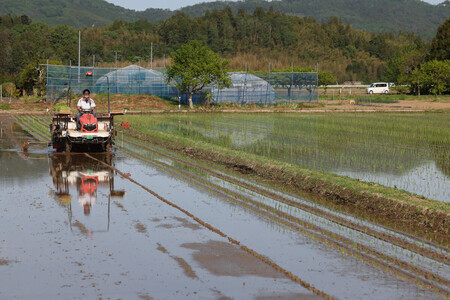 田植えをするアイリスオーヤマのグループ会社の社員=5月12日、宮城県丸森町