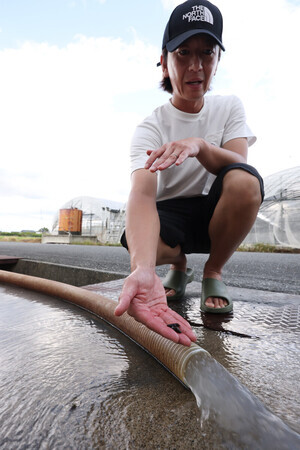 井戸水から出た貝を見せるトマト農家の池田将宏さん=20日、熊本県八代市
