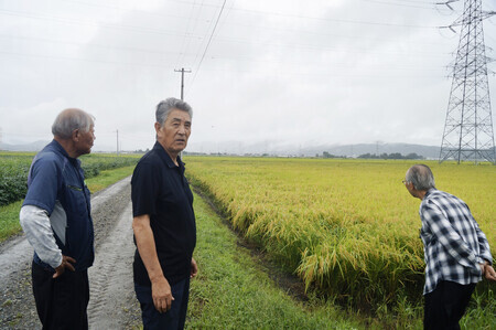 田んぼを前にする大規模農業法人の橋浦副組合長(中央)=9日、宮城県石巻市
