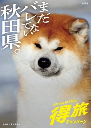 認知度の低さを逆手に取り、「まだバレてない秋田県。」とのキャッチコピーを掲げて県が展開する観光キャンペーンのポスター(同県提供)