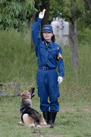 ��α�ʤΤˤ��������ȿͤ�ƨ����ϩ����Ф���­���ɵڡפν�鸡�������른�㡼�ޥ󥷥��ѡ��ɡ֥ե��ե���ʥ�ˡˡפȥϥ�ɥ顼�Ƿٻ�ģ�ռ��ݷٻ�������Ω�к̿�人Ĺ�ᣵ�����������������»�