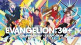 ��EVANGELION:30+�� 30th ANNIVERSARY OF EVANGELION�٤Υӥ��奢��  ��C�˥��顼