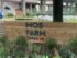 ��MOS FARM Tokyo ����ʿ�����