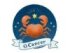 2026年8月の12星座別占い。「相手の気持ちに寄り添う」鑑定スタイルで人気の気学風水鑑定家・生田目浩美.が「かに座」の今月の運勢を占います。幸運を引き寄せるラッキーフード「開運もぐもぐ」もお見逃しなく！