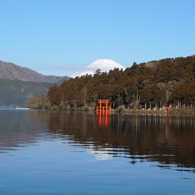 初詣に行きたい「縁結び」神社