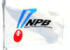 NPB��